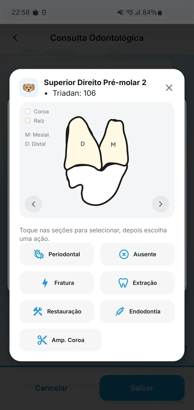 Detalhe demonstrativo do dente 106, um pré-molar superior direito com duas raízes e regiões selecionáveis.